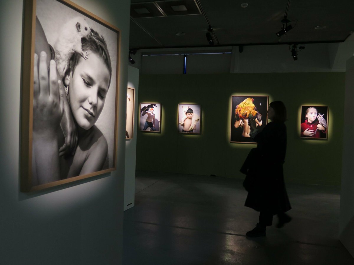 Avec le Festival du regard, comment Cergy est devenu une place forte de la photographie dans le monde
➡️ l.leparisien.fr/UQHW