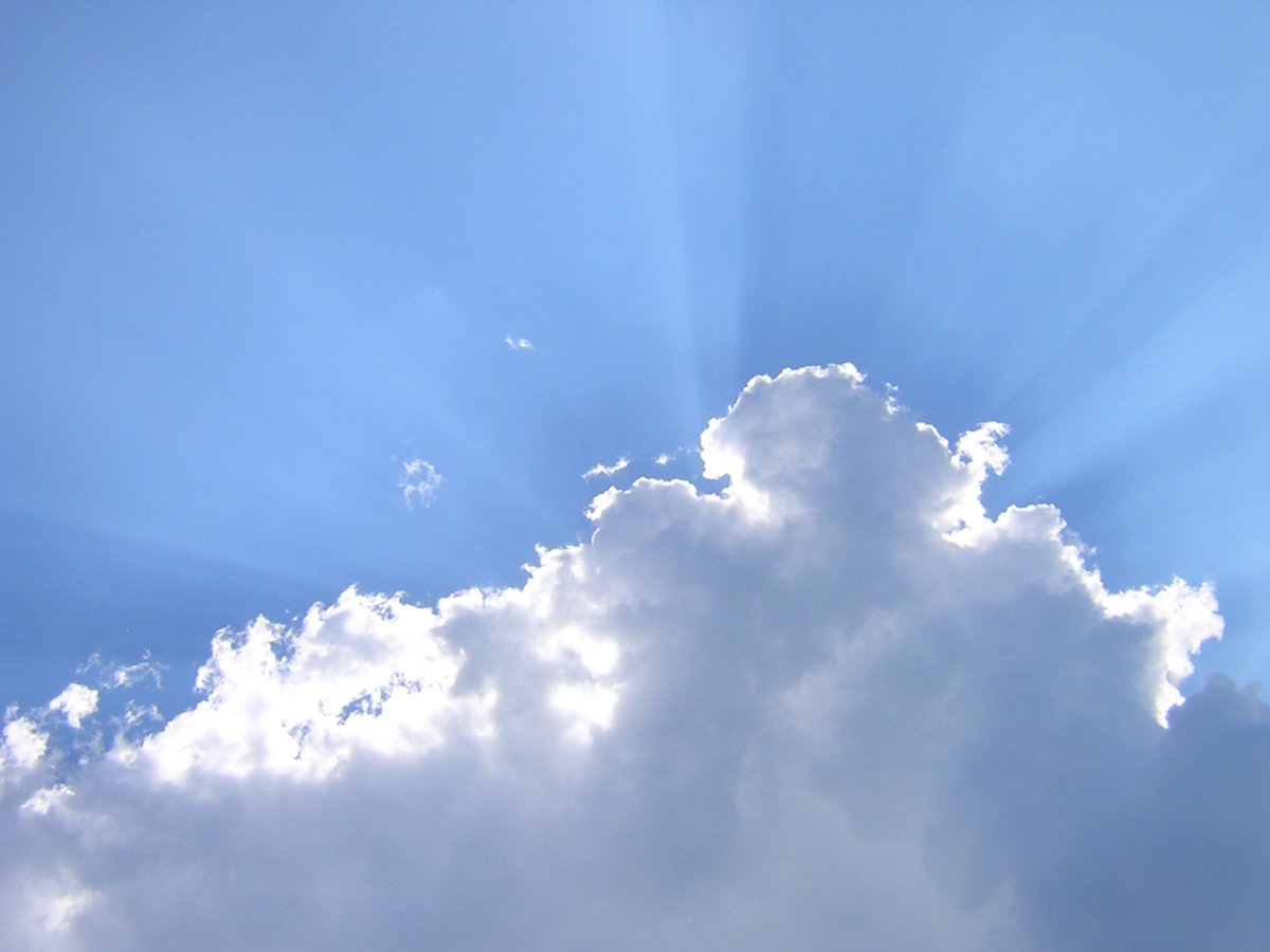 sentrasaurus's tweet image. 