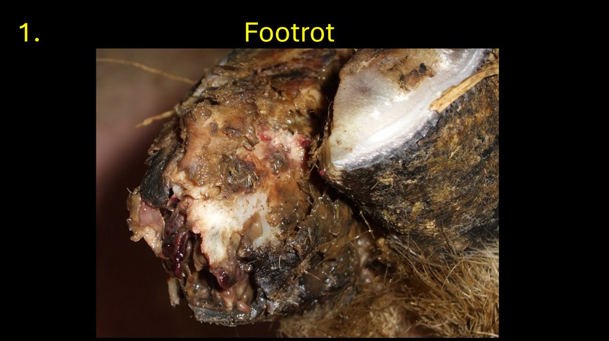 Simon Goodger tweet media