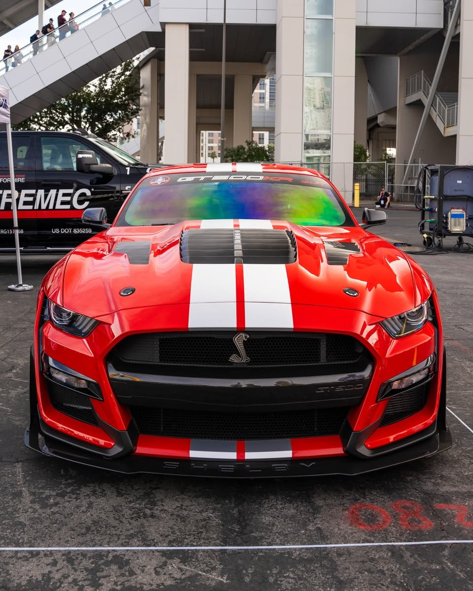 Another beast from #SEMA2024. The Shelby American #GT500KR! #SEMAShow #ShelbyGT500