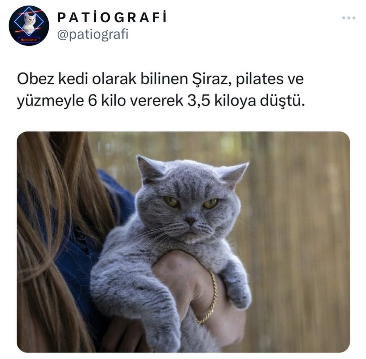Şu kedi kadar olamadım