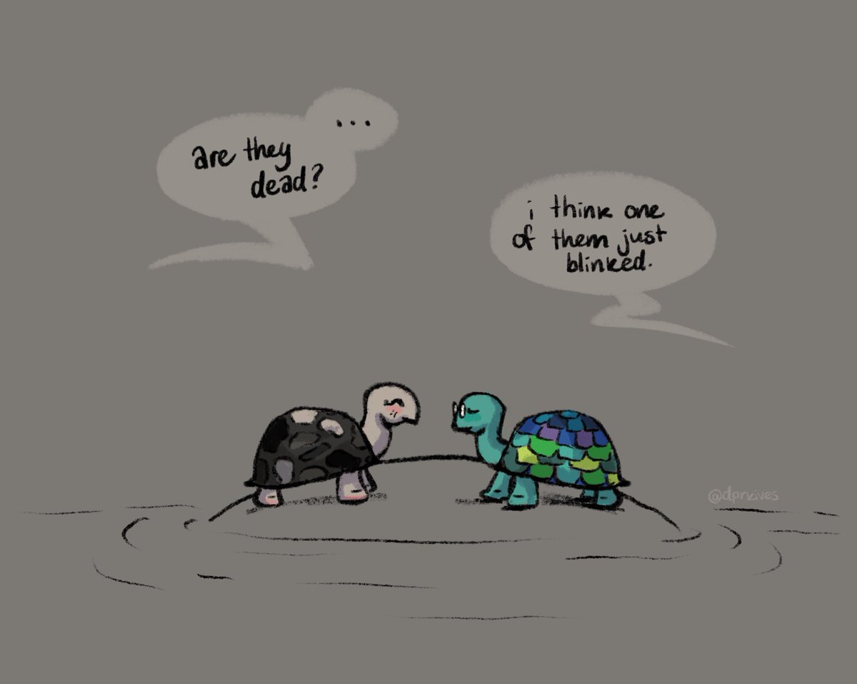 “we’re just like, two old turtles at the zoo.”