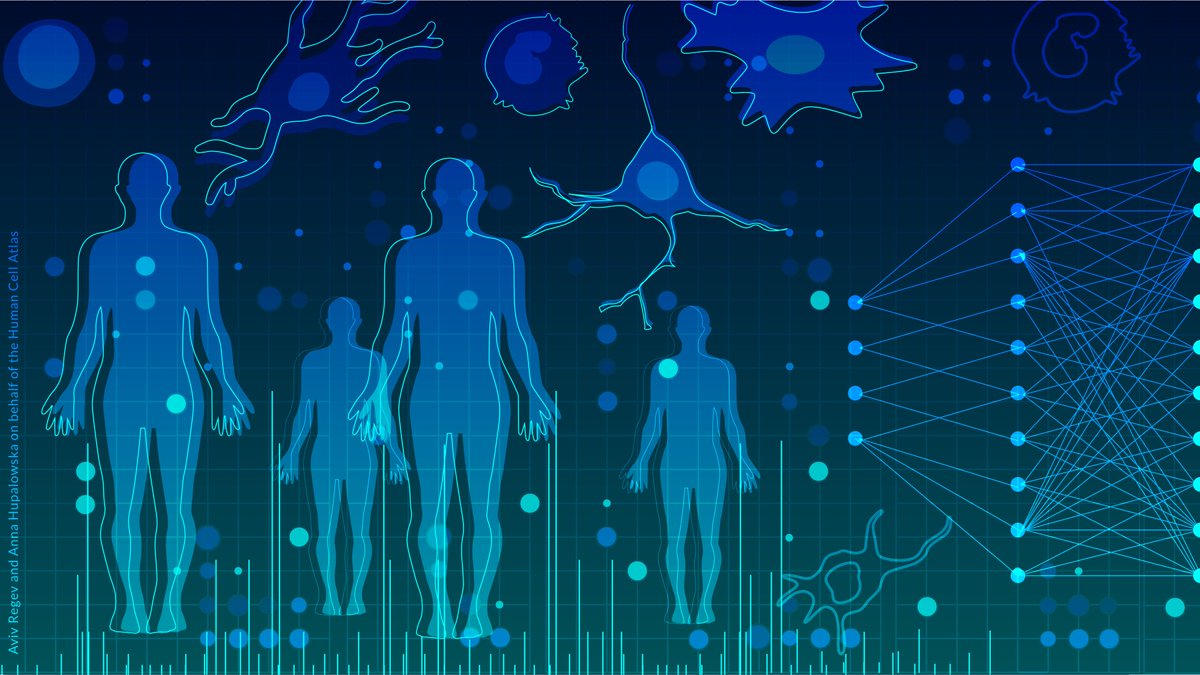 Human Cell Atlas (@humancellatlas) on Twitter photo To mark the launch of the #HCA2024NatureCollection in @NaturePortflio we are highlighting new computational and analysis methods from the #HumanCellAtlas community. Graphic credit <a href="/GraphicAnja/">Anna Hupalowska</a> To mark the launch of the #HCA2024NatureCollection in @NaturePortflio we are highlighting new computational and analysis methods from the #HumanCellAtlas community. Graphic credit <a href="/GraphicAnja/">Anna Hupalowska</a>