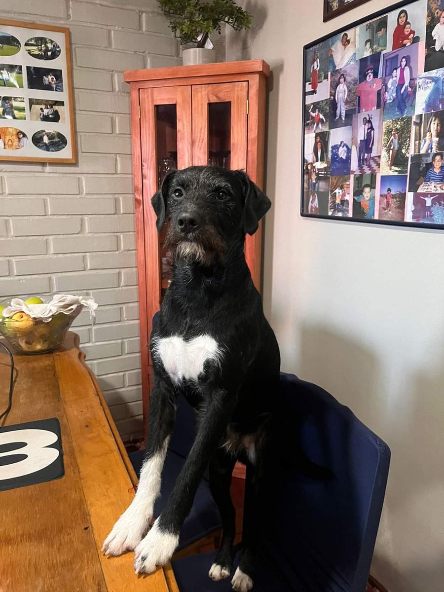 Sita Marce tweet media