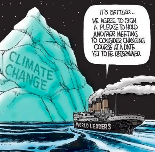 Fish Feel tweet media