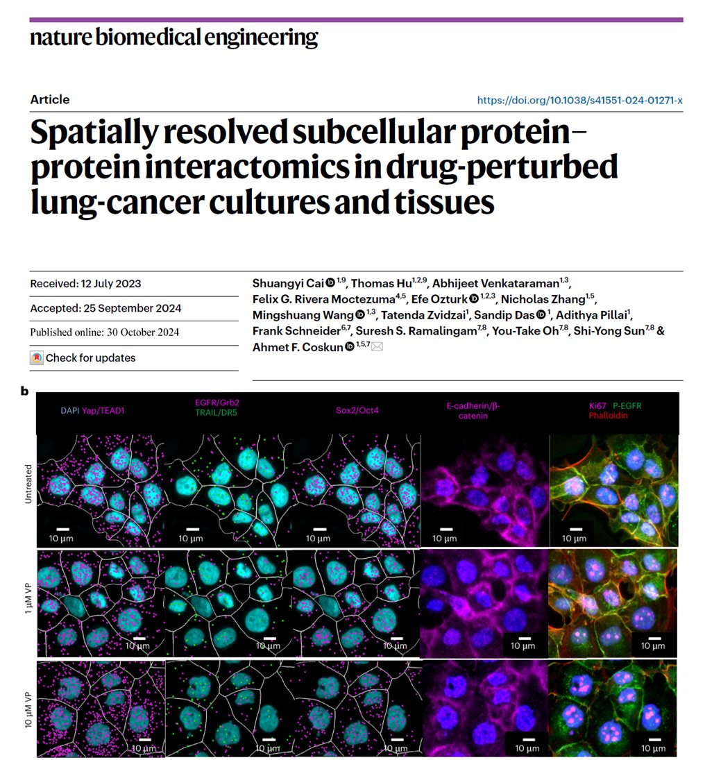 Ankur Singh (@dr_asingh) on Twitter photo Understanding protein-protein interactions is key to decoding cell signaling & designing targeted therapies. Fascinating new work <a href="/natBME/">Nature Biomedical Engineering</a> from <a href="/ahmetfcoskun/">Ahmet F. Coskun</a> <a href="/GaTech_Immuno/">Center for Immunoengineering at Georgia Tech</a> <a href="/ibbgatech/">Institute for Bioengineering and Bioscience @ GT</a> - multiplexed 47 proteins "interactomics" in multi-signaling crosstalk!!! nature.com/articles/s4155… Understanding protein-protein interactions is key to decoding cell signaling & designing targeted therapies. Fascinating new work <a href="/natBME/">Nature Biomedical Engineering</a> from <a href="/ahmetfcoskun/">Ahmet F. Coskun</a> <a href="/GaTech_Immuno/">Center for Immunoengineering at Georgia Tech</a> <a href="/ibbgatech/">Institute for Bioengineering and Bioscience @ GT</a> - multiplexed 47 proteins "interactomics" in multi-signaling crosstalk!!! nature.com/articles/s4155…