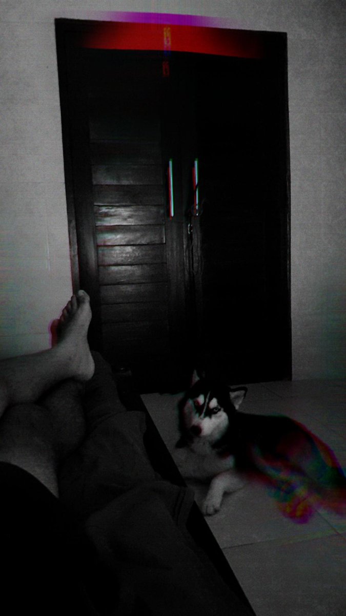 bobo dijagain serigala🐺