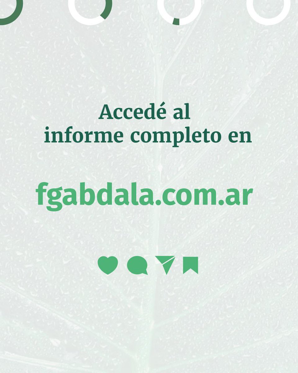 Estudiar las capacidades estatales para implementar políticas públicas ambientales es fundamental para construir nuevas premisas para defender e impulsar una salida colectiva, con eje en lo público y centralidad en lo estatal. ♻️🤝🏽🍃

🧑‍💻fgabdala.com.ar/capacidades-es…