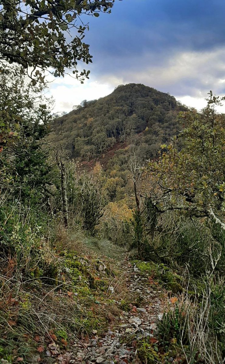 Youkounkoun75's tweet image. À gauche, le Mont. À droite, la Bouche, et en haut de la Bouche, la tour de garde.

#Comminges