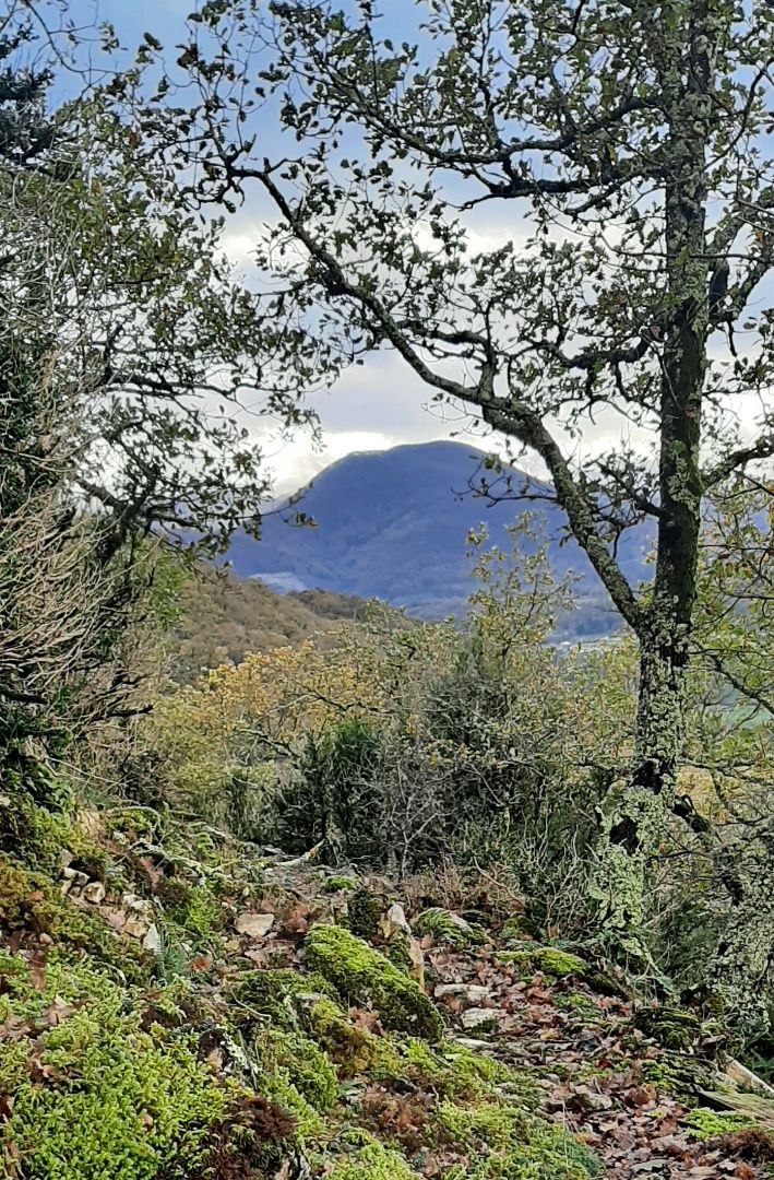 Youkounkoun75's tweet image. À gauche, le Mont. À droite, la Bouche, et en haut de la Bouche, la tour de garde.

#Comminges