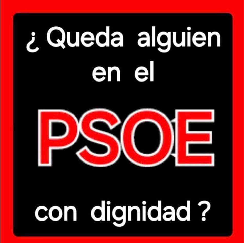 1maripepa's tweet photo. @PSOE https://t.co/ctB0RCXh8K