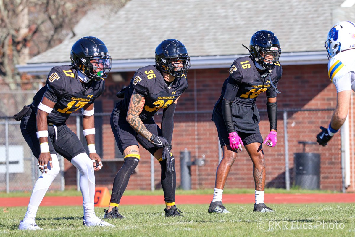 Khalil🐾 tweet media