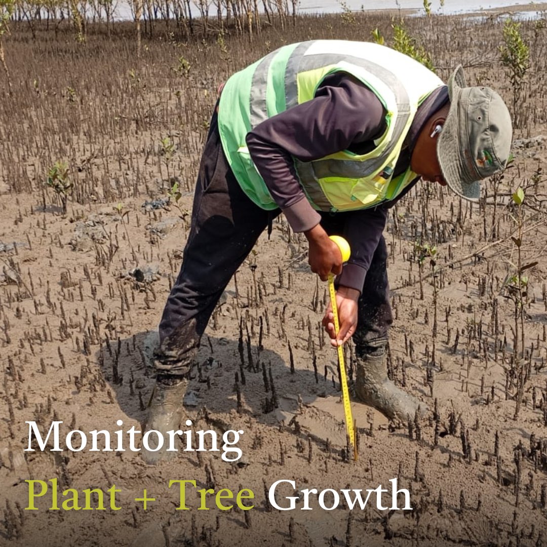 Eden: People+Planet tweet media