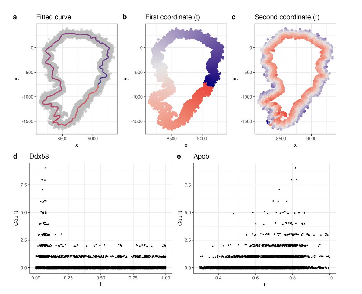 Rafael Irizarry (@rafalab) on Twitter photo New method for identifying spatially variable genes in spatial transcriptomics.
We use spectral graph theory to extract 1D curves related to tissue morphology, creating a more relevant coordinate system. Improves sensitivity.
with <a href="/PhillipNicol/">Phillip Nicol</a> et al.
biorxiv.org/content/10.110… New method for identifying spatially variable genes in spatial transcriptomics.
We use spectral graph theory to extract 1D curves related to tissue morphology, creating a more relevant coordinate system. Improves sensitivity.
with <a href="/PhillipNicol/">Phillip Nicol</a> et al.
biorxiv.org/content/10.110…