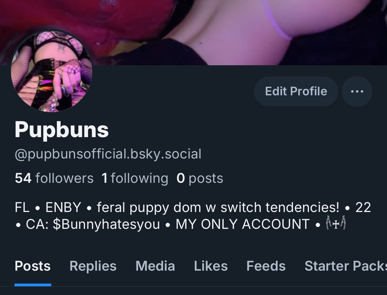 𝓟𝓾𝓹𝓹𝔂𝓑𝓾𝓷𝓼 ໒꒰´ཀ`꒱১ on X: Goodmorning :3 heard X was banning porn  :0 follow me on the butterfly app :3 Ill make my first post at 300 :3  t.coe4VqQUrQTc  X