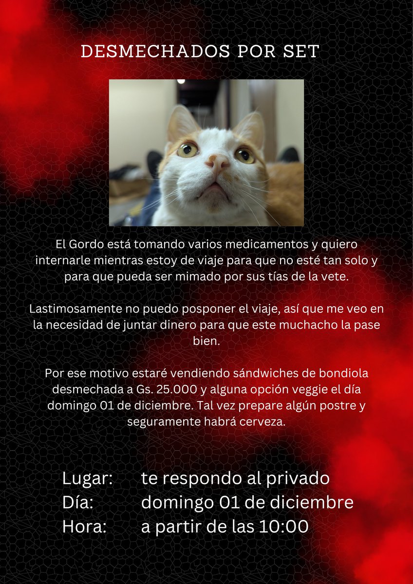 En diciembre estaré de gira por 17 días y quiero internar al gordo para que sus tías de la vete le mimen y den los medicamentos que está tomando. Si me pueden dar una mano para juntar algo de dinero, agradecido.