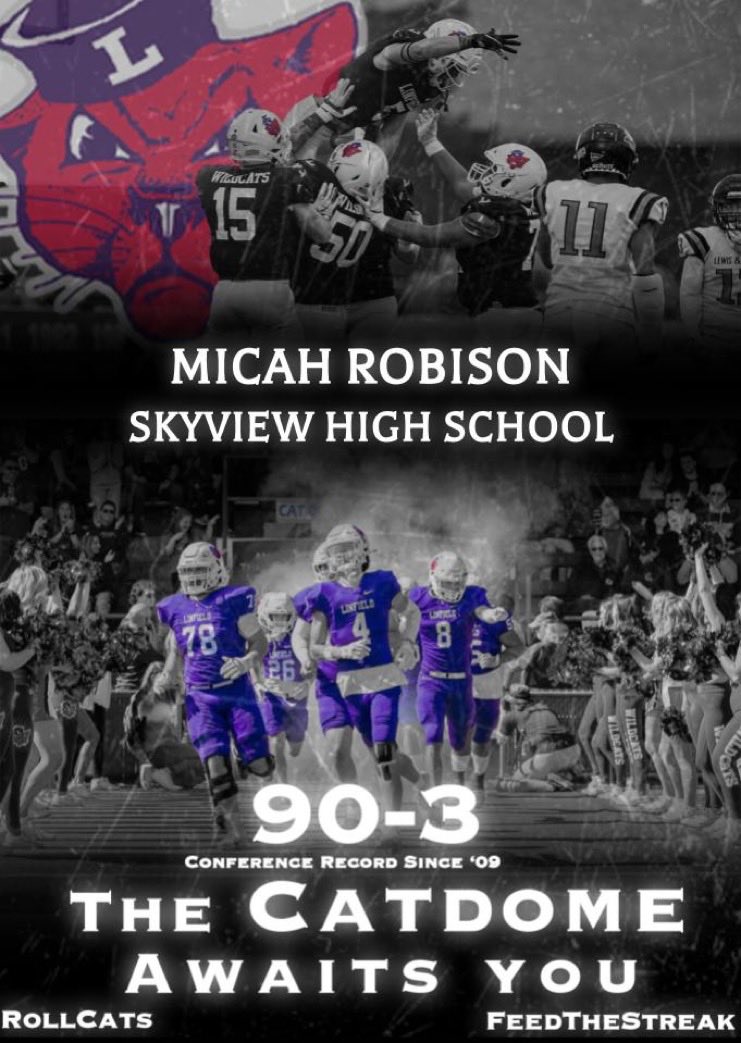 Micah Robison tweet media