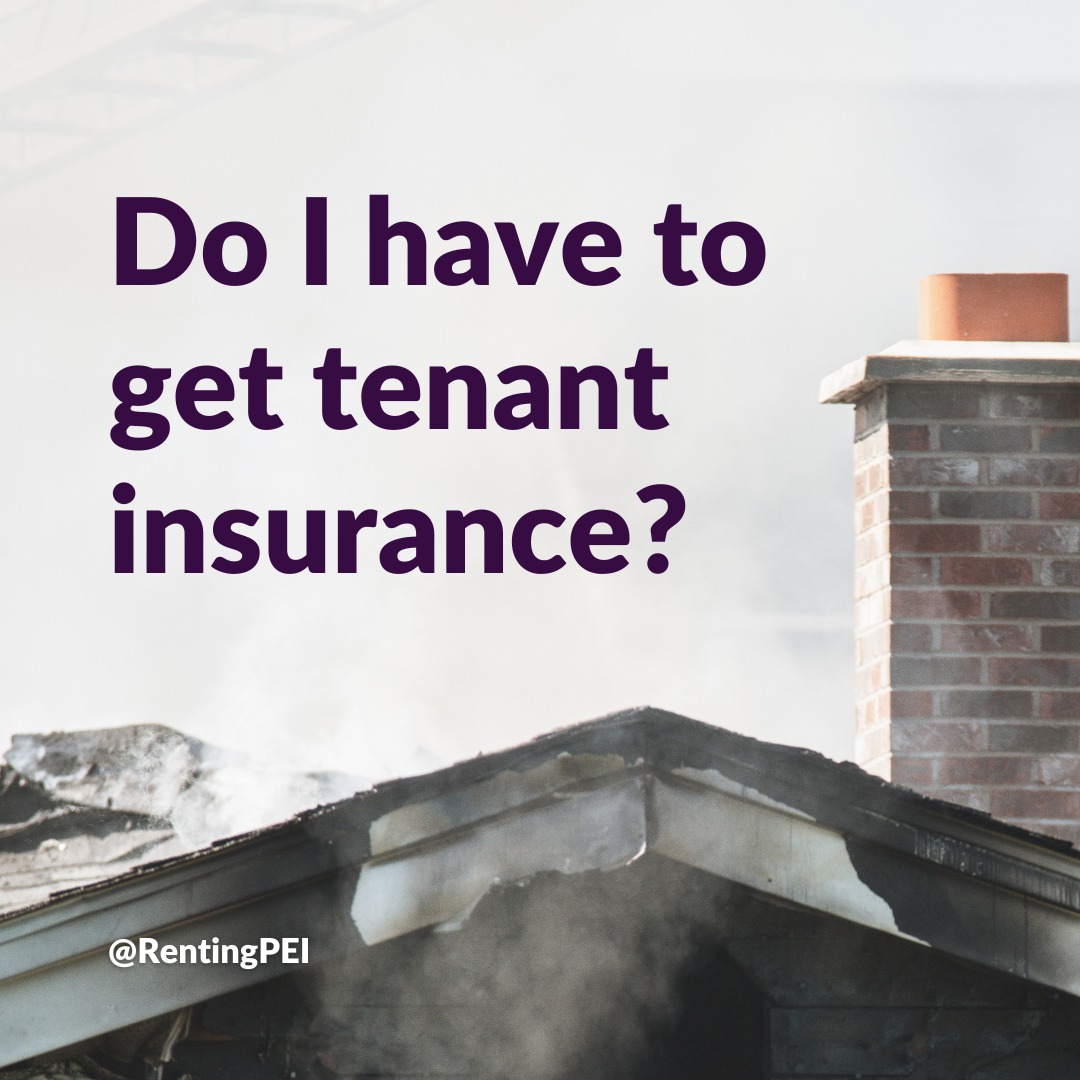 RentingPEI's tweet photo. Do I have to get tenant insurance?🔒

Tenant insurance is not legally required on PEI, but some landlords may require you to have it. If you sign a lease that says you will purchase tenant insurance and you do not, you could be evicted for breaking a condition of the lease.

#PEI https://t.co/7qFmsqs4VY