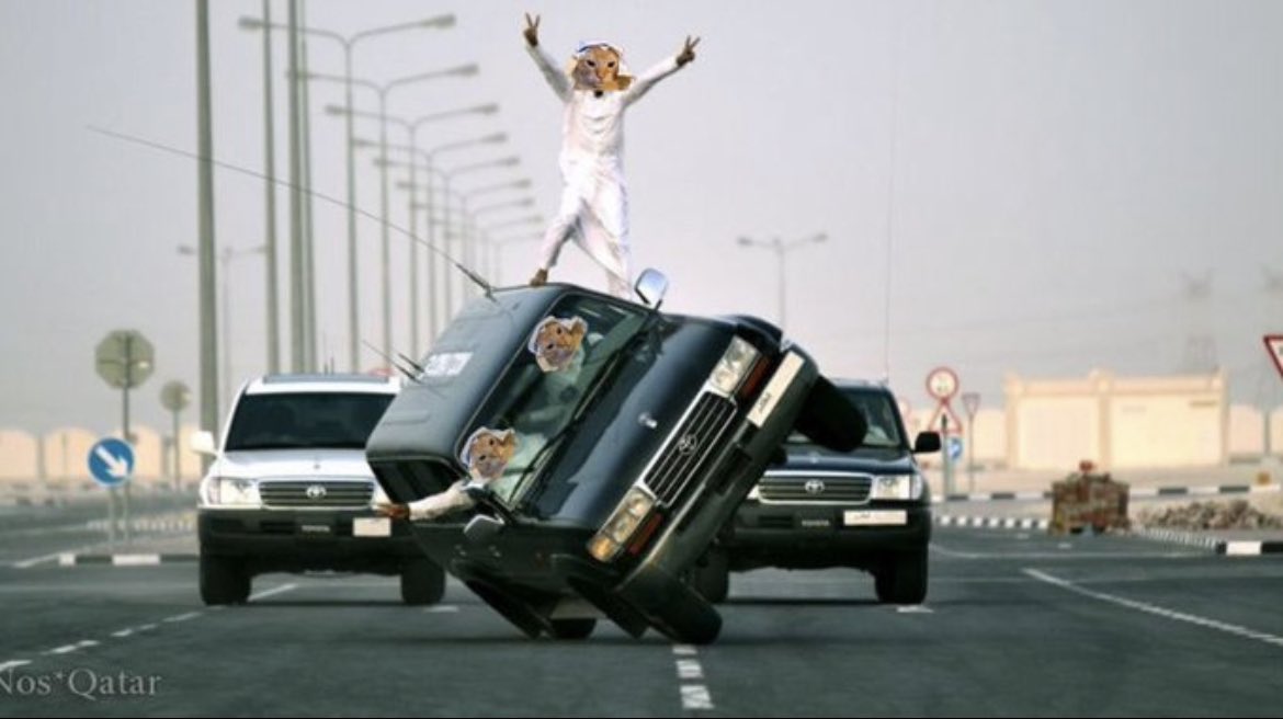 arab cat tweet media