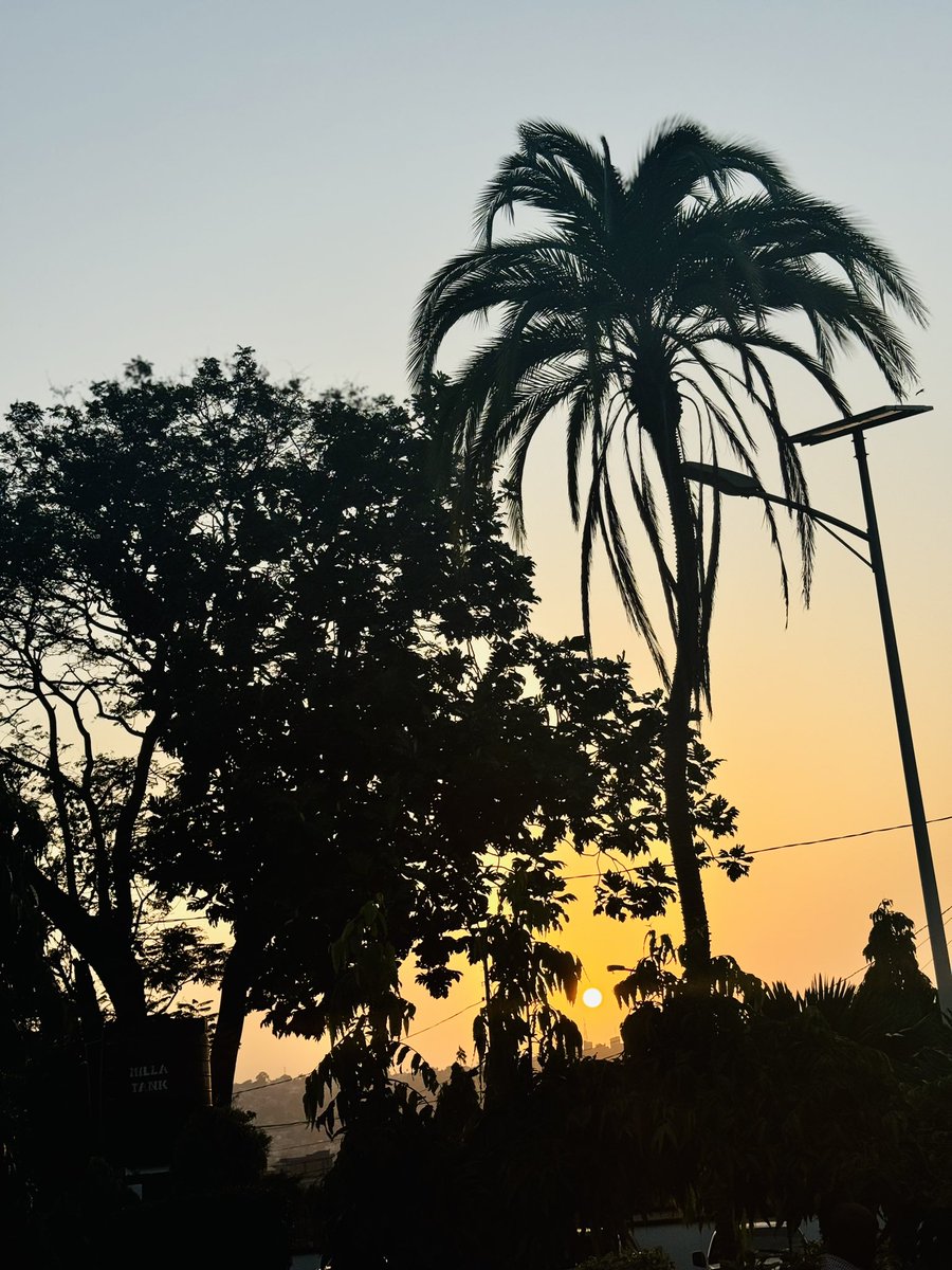 Mahawa 🇸🇱 tweet media