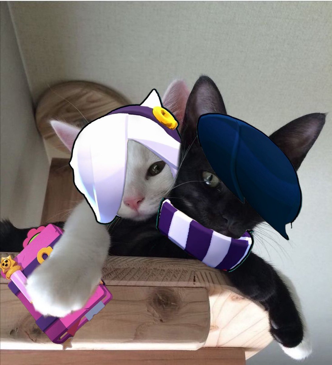 o_saedd_2's tweet photo. Check out my perfect ship. It’s perfect!! https://t.co/TdS4FH7Gwp