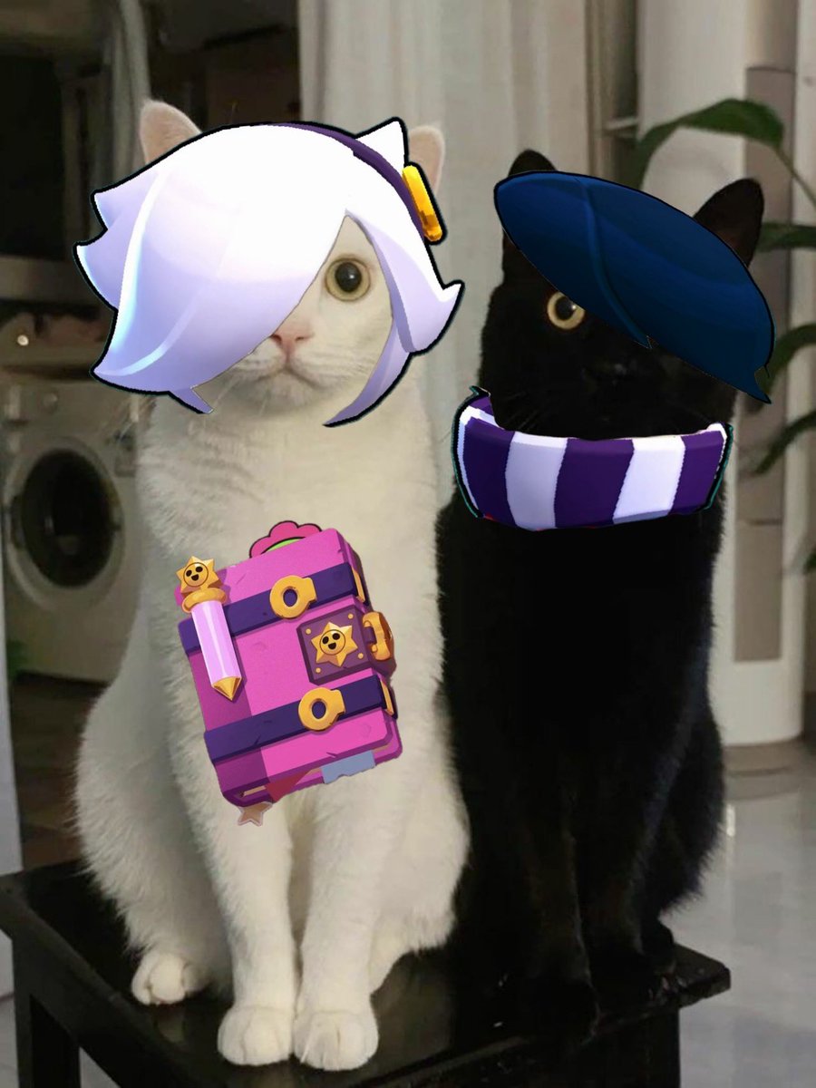 o_saedd_2's tweet photo. Check out my perfect ship. It’s perfect!! https://t.co/TdS4FH7Gwp