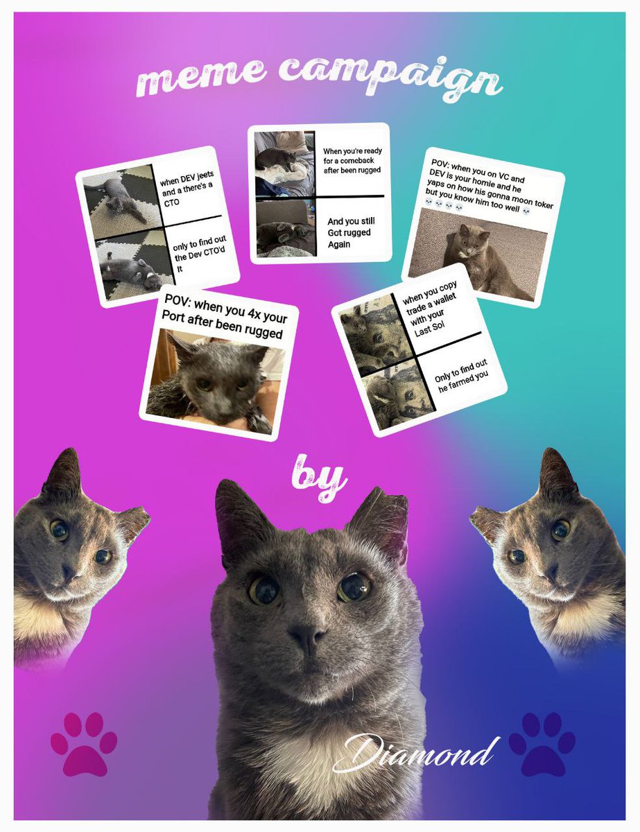 Now what we've all been waiting for....

🎉 The DMTC Meme &amp; GIF Creator Challenge 🎉

Ready to flex your meme and GIF-making skills? Join us in the DMTC Meme &amp; GIF Creator Challenge, where your creativity and love for cats can shine! This week, we’re giving the community a fun,