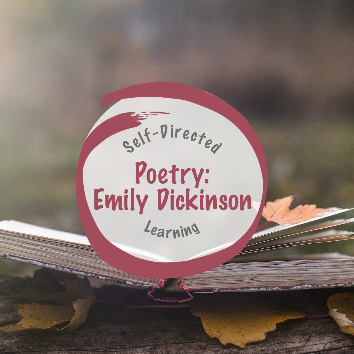 HilltwnFamilies's tweet photo. 📜🌸 Explore the-Nature-Inspired Poetry of Emily Dickinson
Read more: https://t.co/7fkKuy6PCC
#selfdirectedleaning #edchat #homeschool #education #placebasedlearning #emilydickinson #poetry @DickinsonMuseum https://t.co/g3oYh7SYfQ