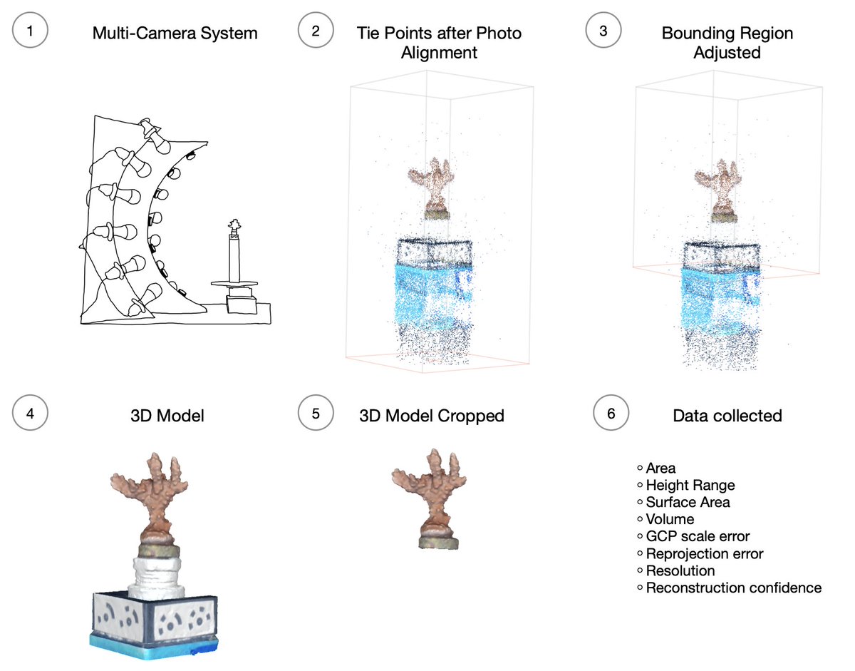 CoralResilience's tweet image. Congrats to CRL's Spencer Miller &amp;amp; team on publishing a new paper evaluating the precision of our fragrammeter. This is a machine built in house to standardize sfm photogrammetry in corals &amp;amp; measure growth/ health of frags while minimizing stress on corals
mdpi.com/2072-4292/16/2…