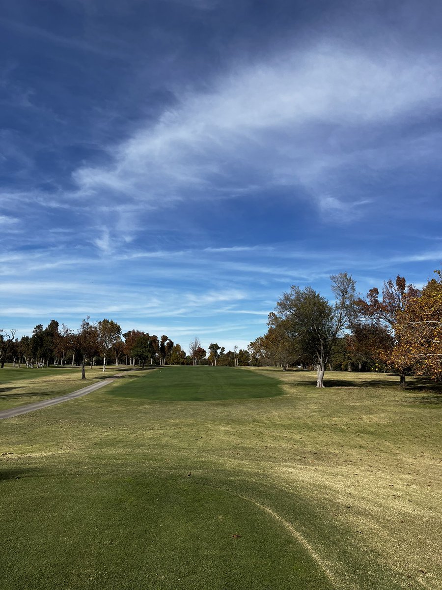 Daniel Mills tweet media