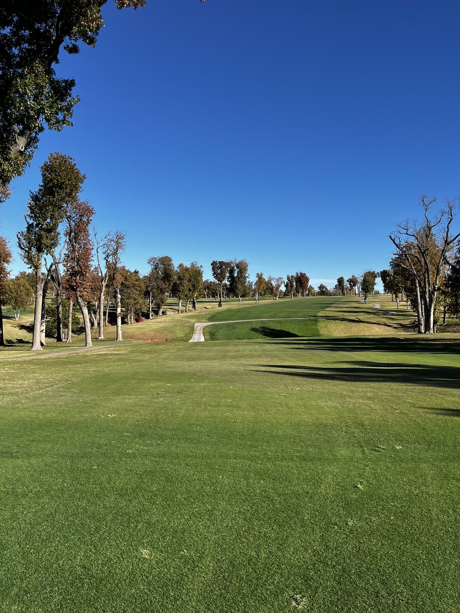 Daniel Mills tweet media