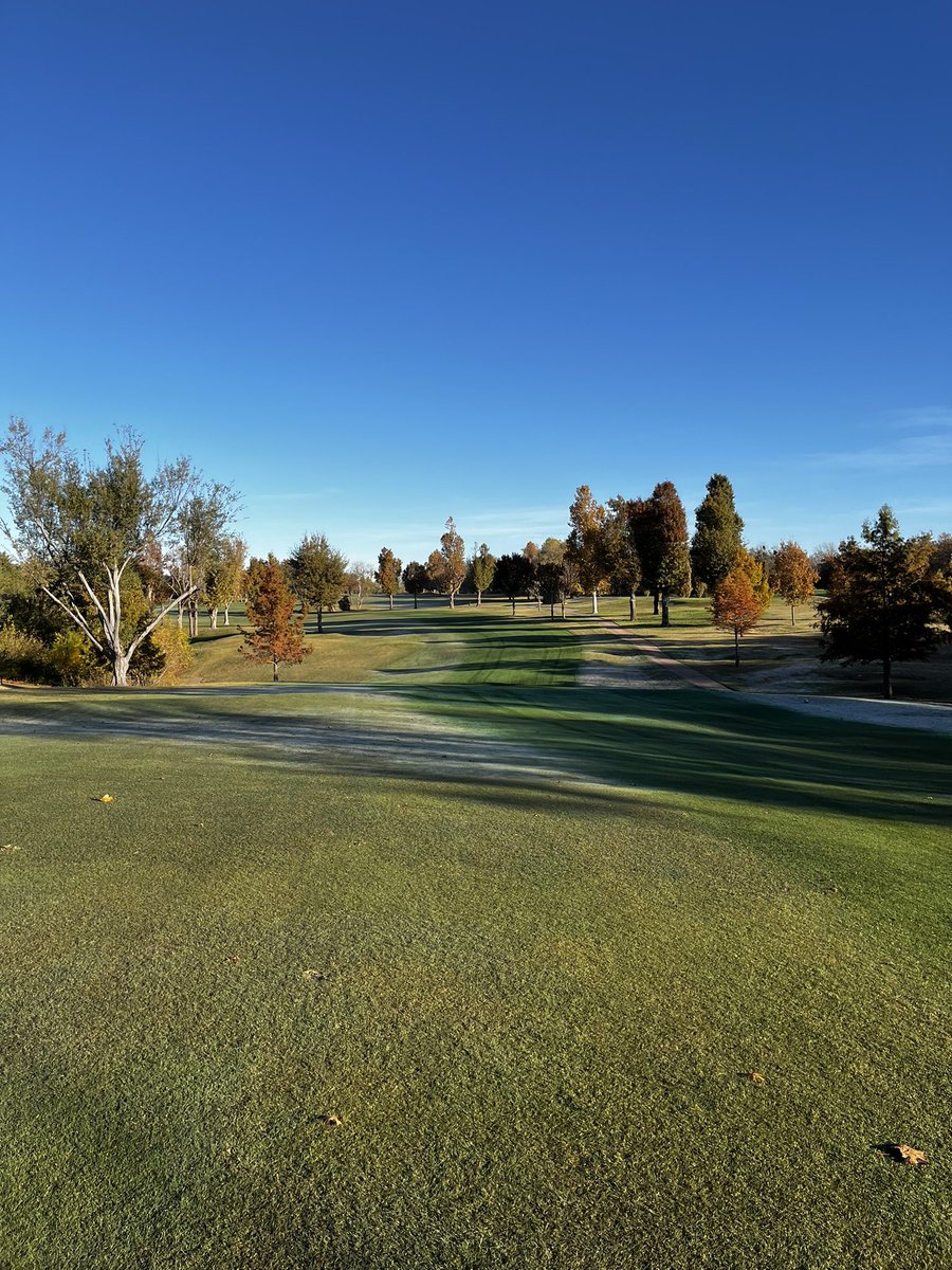 Daniel Mills tweet media