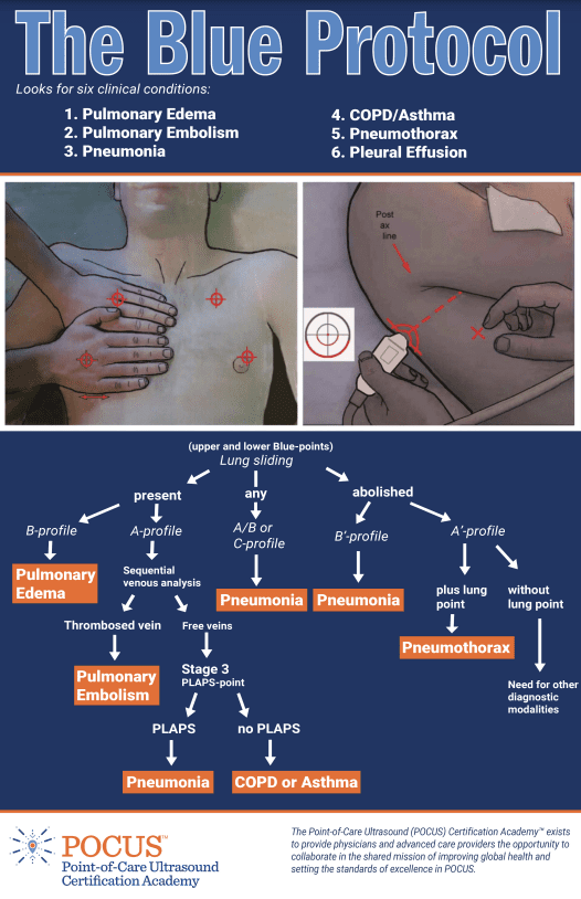 The Heart tweet media