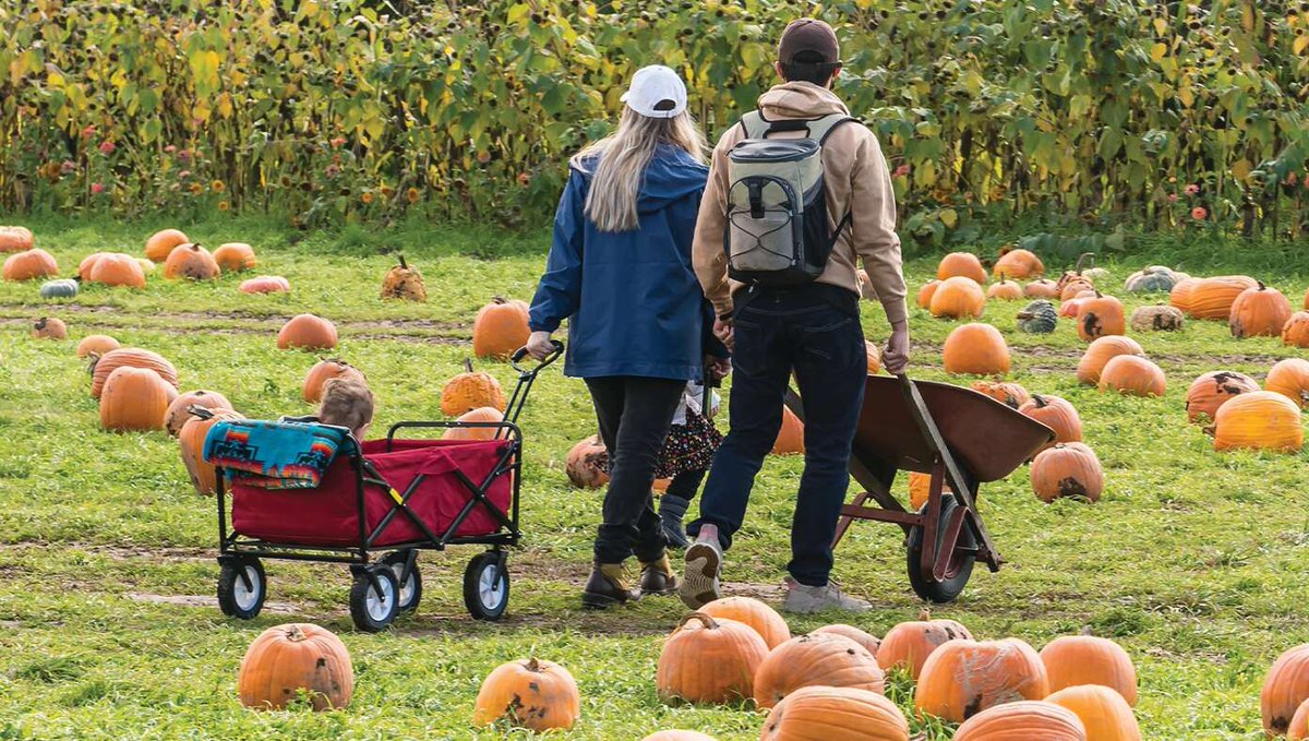 Wife Hoping To Unwind With Weekend Of Stressful Activities buff.ly/3CEdQnM