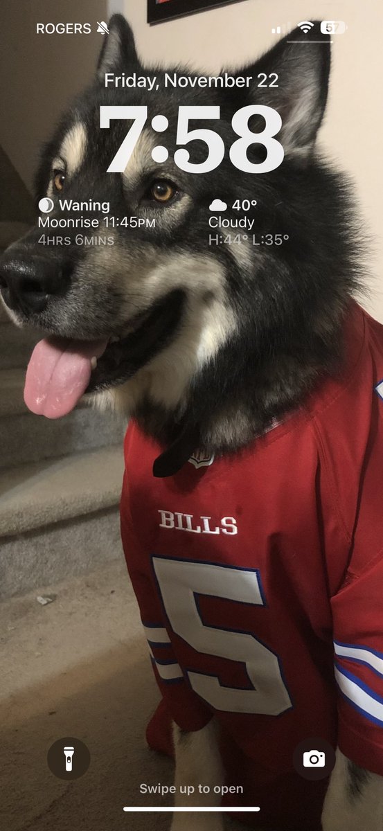 TerminalFoxx's tweet photo. @JoshBrown06 #BillsMafia wallpaper you say? Here have Matt BARKley https://t.co/VGgZFdWrHw