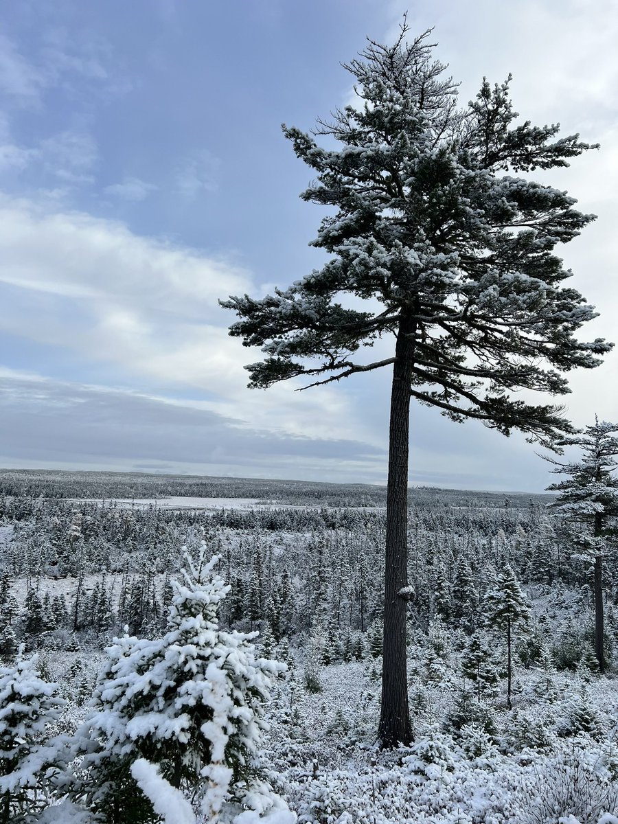 Enough with the rain already, it’s time for some of this stuff.