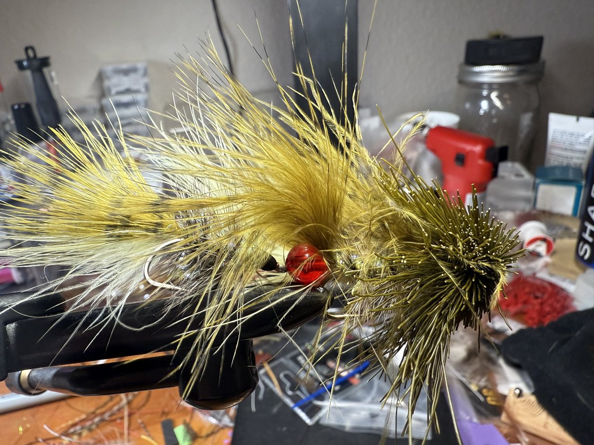 Working on an articulated streamer #flyfishing #troutfishing #fish #fishing #trout #wildtrout #troutfly #nymph #coloradotrout #coloradofishing #coloradoangler #catchandrelease #dryfly #dryflyfishing #nymphfishing #flytyingjunkie #flytyingphotography #flytying