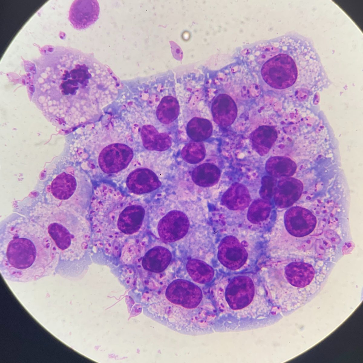 Megan Smith tweet media