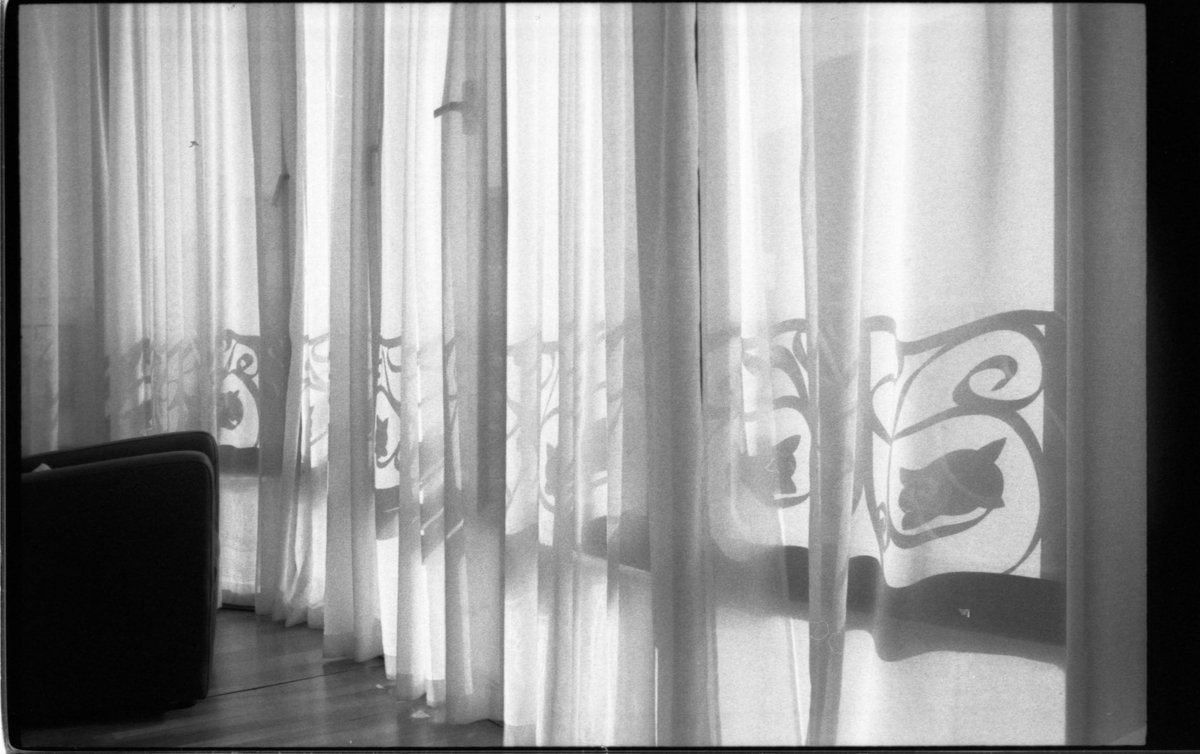 Dan McSweeney tweet media