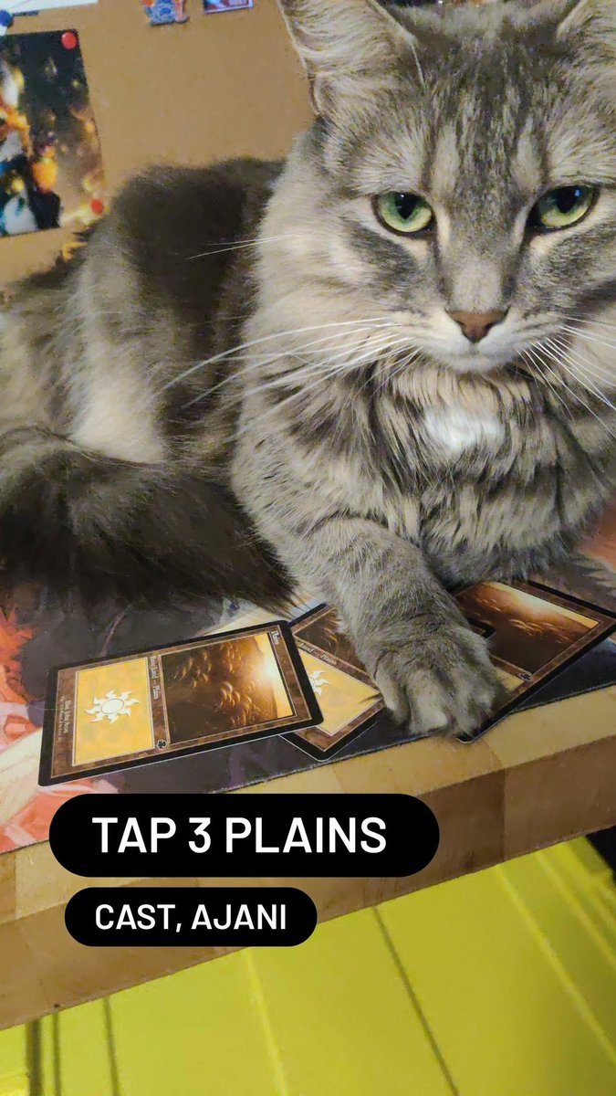 Hugh Jazz 🎵🎷 tweet media