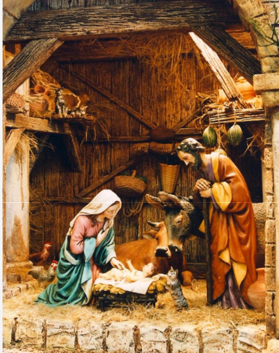 Ara cada dia penjaré un pessebre senyor <a href="/jaumecollboni/">Jaume Collboni</a> .
Si no li agrada, s’hi posa fulles. De boix grèvol si pot ser, que punxen més.