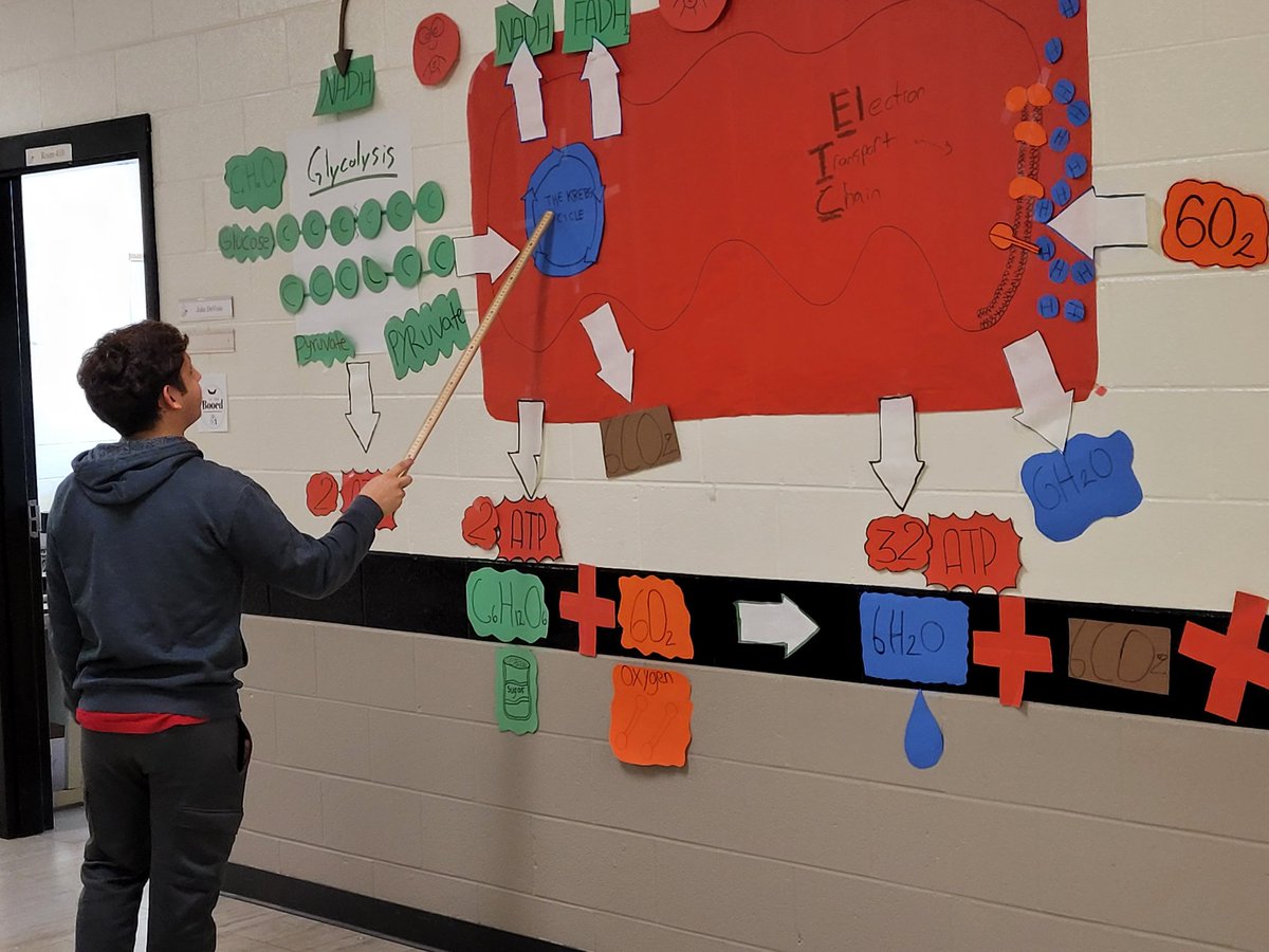 Walk the Science hallways and you'll see Ms. Okenica's "Turkey Out the Door" where students summarize learning and Mr. DeVoss' epic wall displays where students from multiple classes demonstrate processes like cellular respiration shown here.
