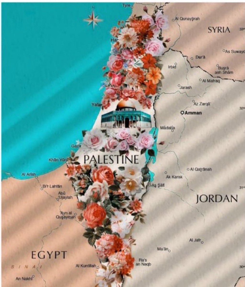 My account is dying 

If you see this post PLEASE, just comment 🍉,🇵🇸 or even a Dot.