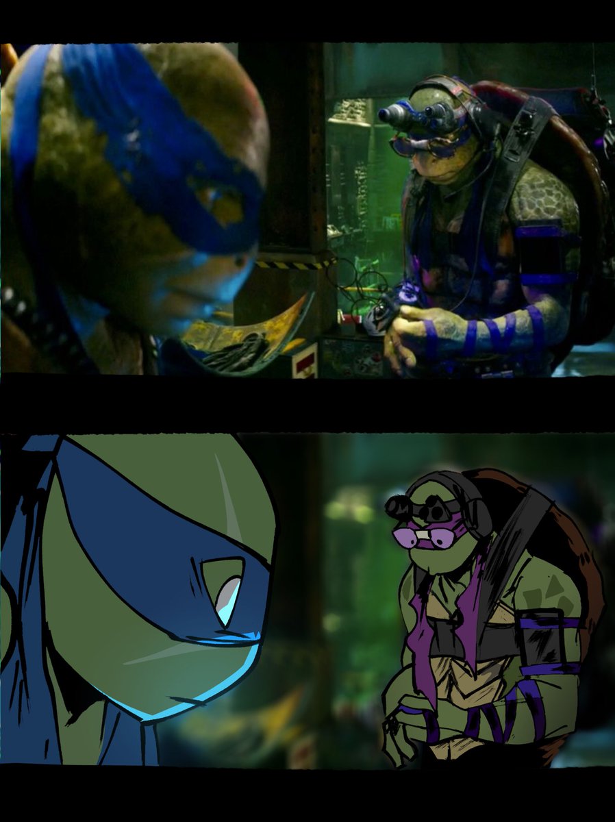 TMNT Bayverse
