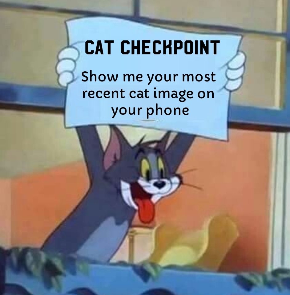 smol silly cat tweet media