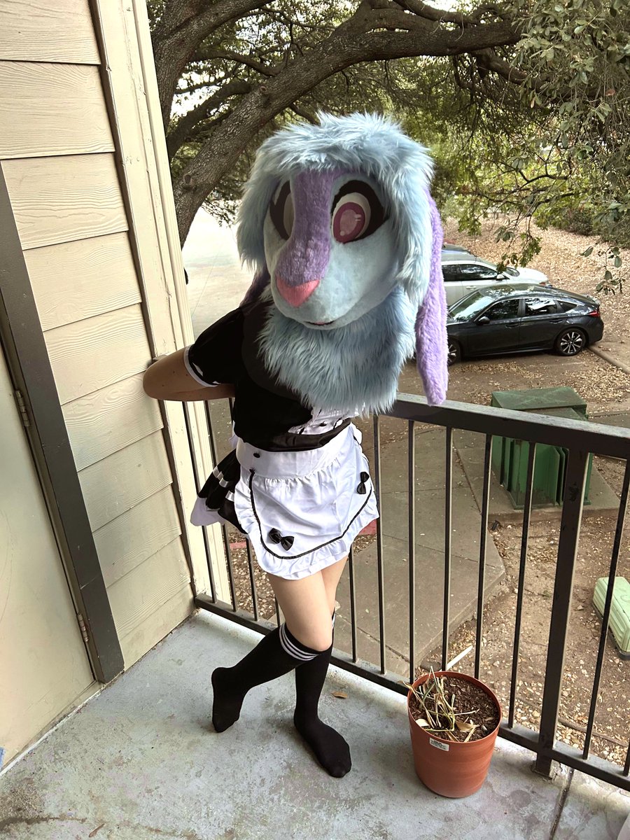 Did someone call for bunny maid service? 🧹🐇

#fursuitfriday #furry
