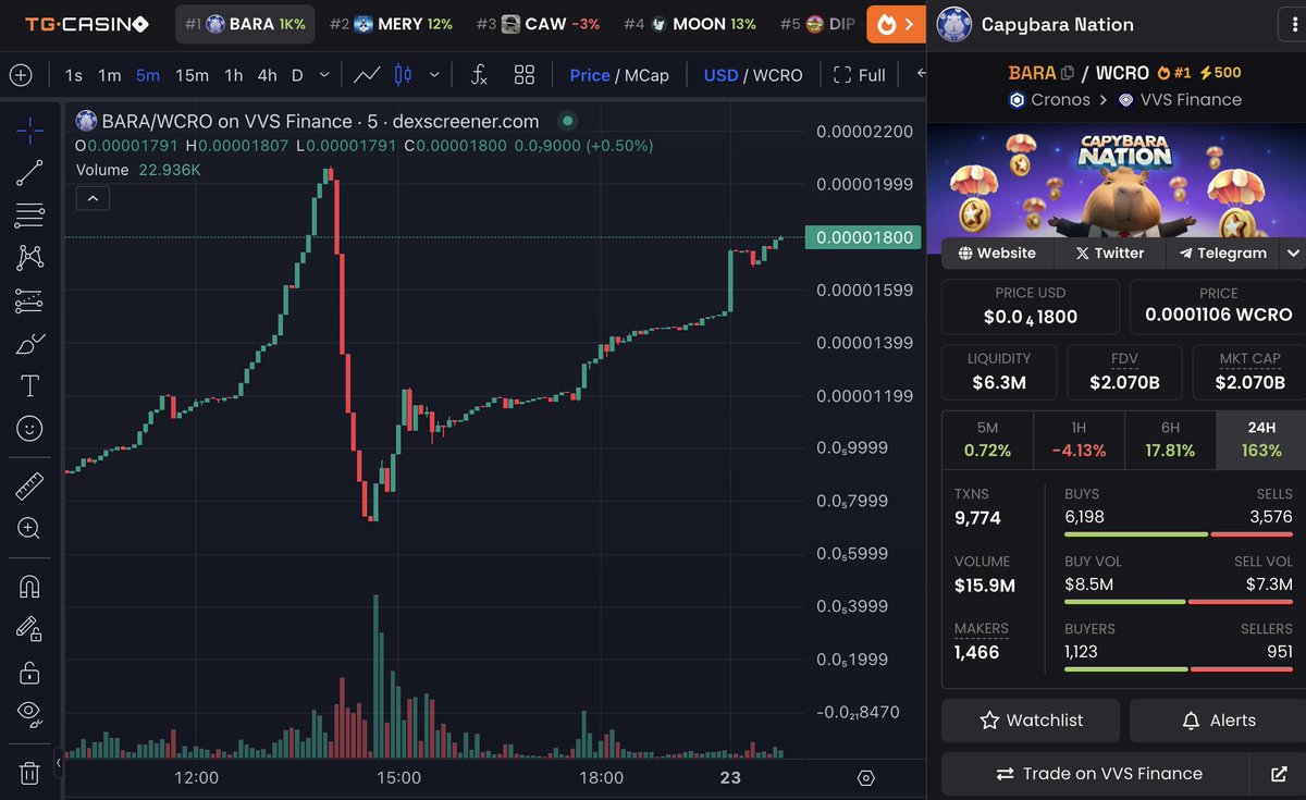 capy_nation's tweet image. The dip is for a moment, but the strength of $BARA will prevail.