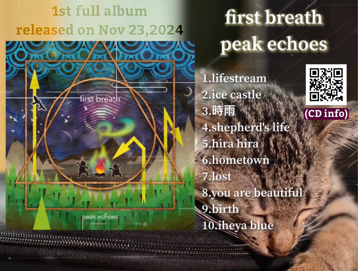 ShinjiIwasaki's tweet photo. 我々の1stアルバムが配信開始されました！
peak echoesの１つの到達点でありハンマーダルシマーの可能性を広げた多種多様な10曲入り◎渾身の集大成を是非お聴き下さい(^0^)/

【CD info】
https://t.co/kIIWvfi5Kp

#ハンマーダルシマー #hammereddulcimer    #peakechoes #santoor #cimbalom #yangqin https://t.co/UQUS5p6NWC