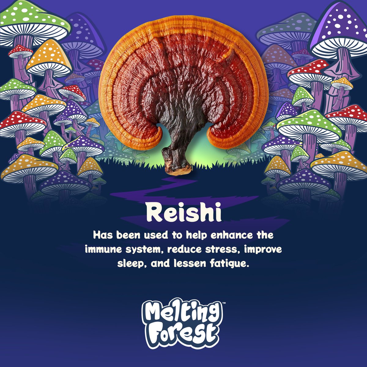 meltingforest tweet media