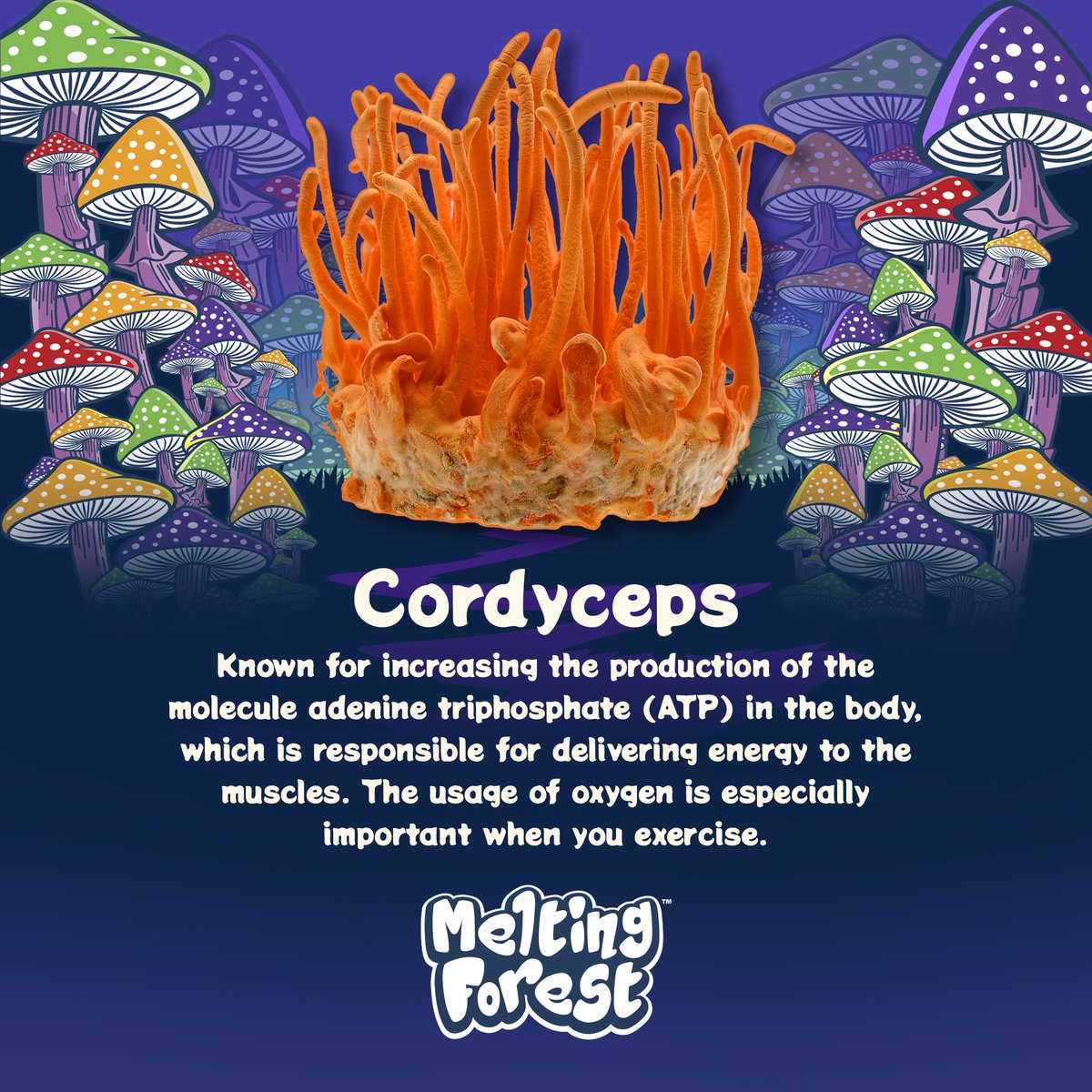 meltingforest tweet media